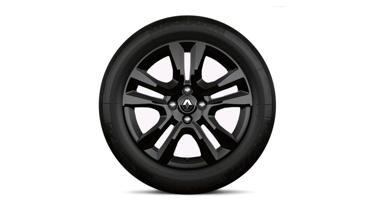 Renault Stepway rines